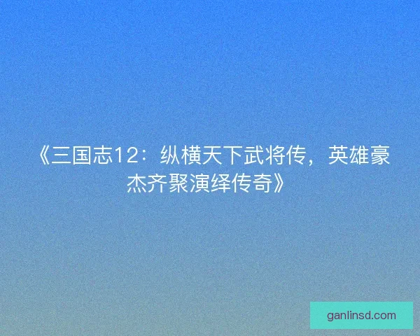 《三国志12:纵横天下武将传,英雄豪杰齐聚演绎传奇》 《三国志12:纵横天下武将传,英雄豪杰齐聚演绎传奇》