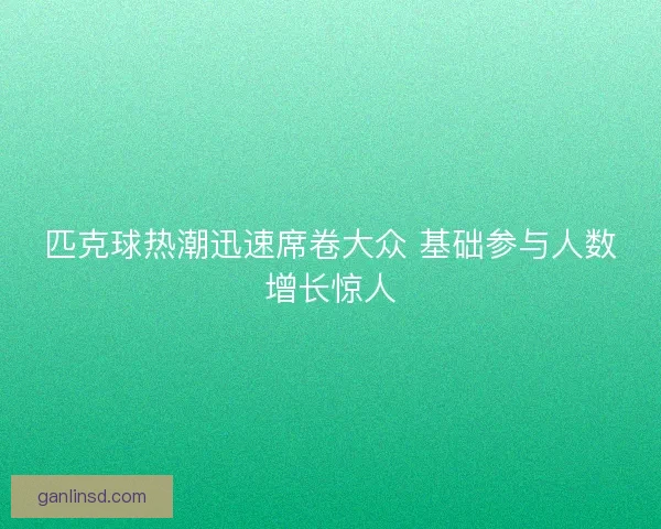 匹克球热潮迅速席卷大众 基础参与人数增长惊人 匹克球热潮迅速席卷大众 基础参与人数增长惊人