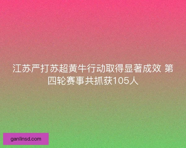 江苏严打苏超黄牛行动取得显著成效 第四轮赛事共抓获105人