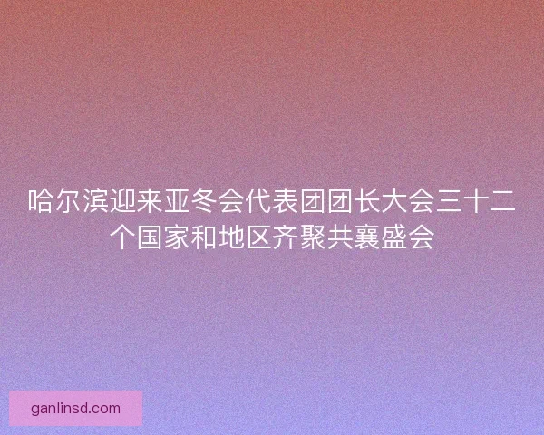 哈尔滨迎来亚冬会代表团团长大会三十二个国家和地区齐聚共襄盛会