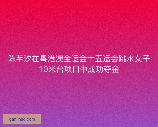 陈芋汐在粤港澳全运会十五运会跳水女子10米台项目中成功夺金 陈芋汐在粤港澳全运会十五运会跳水女子10米台项目中成功夺金