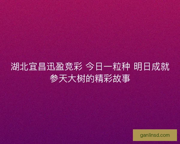 湖北宜昌迅盈竞彩 今日一粒种 明日成就参天大树的精彩故事 湖北宜昌迅盈竞彩 今日一粒种 明日成就参天大树的精彩故事